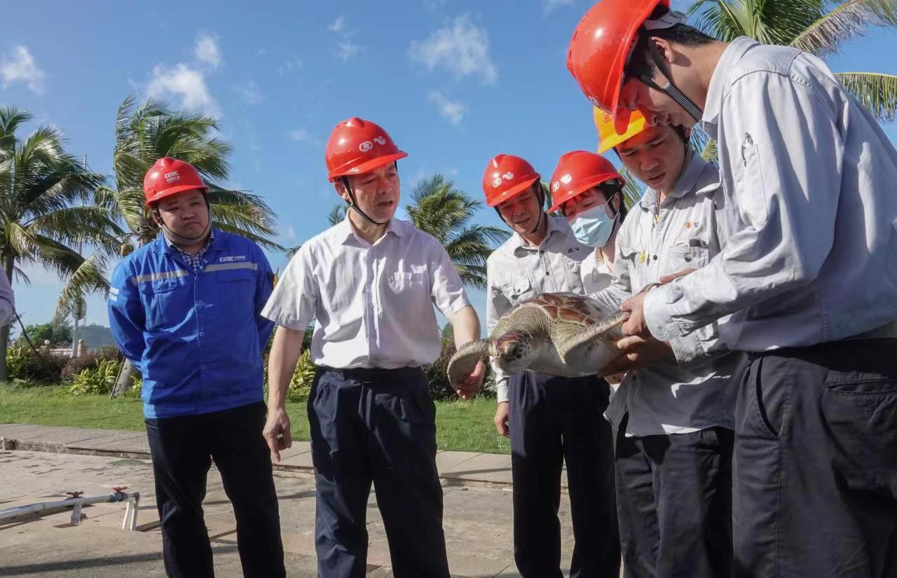 圖一 平海發(fā)電公司主要負(fù)責(zé)人到救助現(xiàn)場查看海龜健康狀況.jpg 圖一 平海發(fā)電公司主要負(fù)責(zé)人到救助現(xiàn)場查看海龜健康狀況.jpg